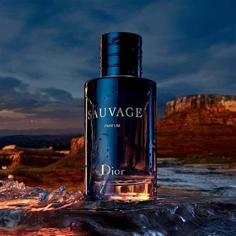 savange dior|Dior Sauvage best price.